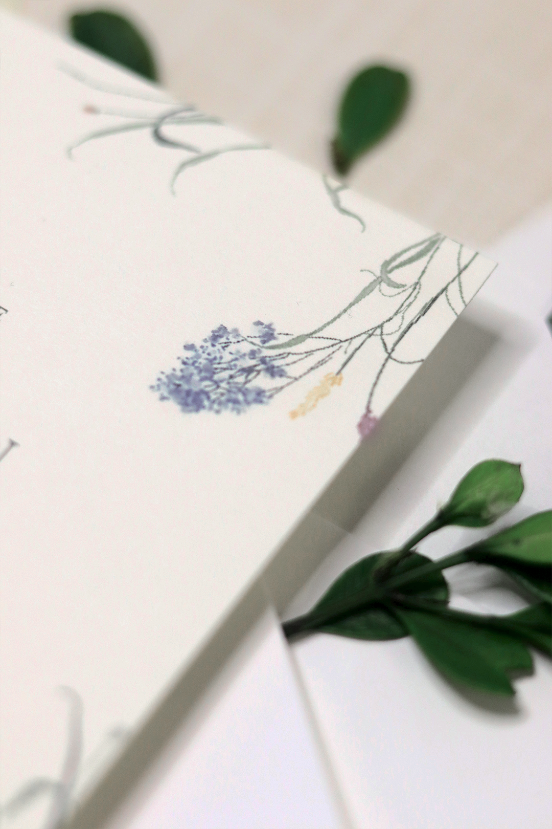 Clare Collection | 5.5"x 8.5" (A9) Invitation Card | Flat Printing