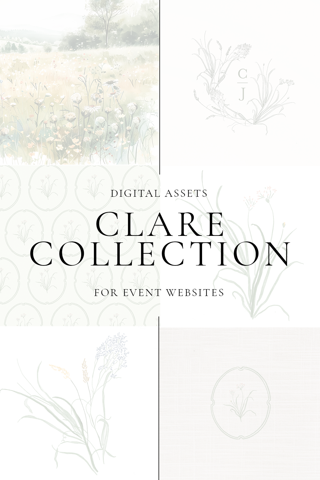 Clare Collection | WEBSITE | 13 Digital Assets