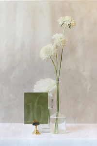 Clover Green Velvet Table Numbers | PURCHASE