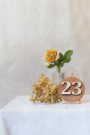 Rattan Table Numbers | RENTAL